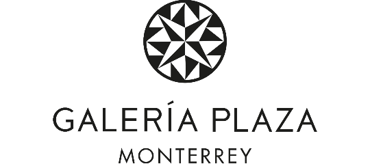 Hotel Galería Plaza